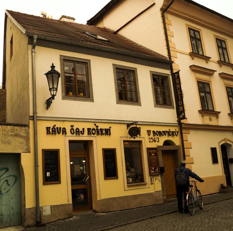 Penzion U Borovicku Litomerice Exterior photo