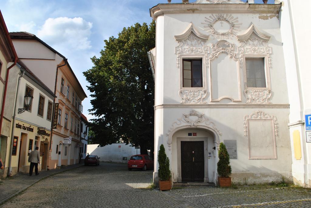 Penzion U Borovicku Litomerice Exterior photo
