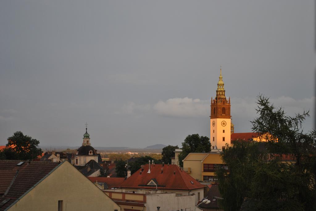 Penzion U Borovicku Litomerice Exterior photo