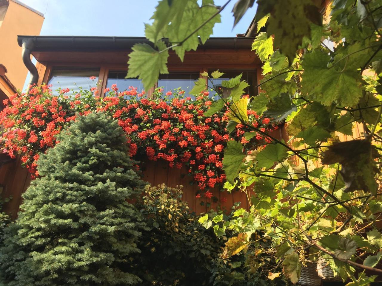 Penzion U Borovicku Litomerice Exterior photo